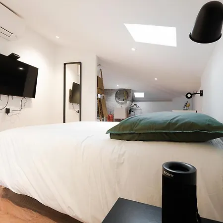 Διαμέρισμα Le Saint-george - Duplex Climatise Τουλούζη